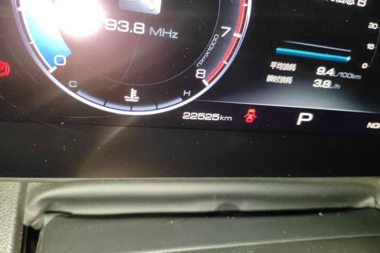 Used Haval DARGO 2024 2.0T DCT Chinese Rural Dog Edition Odometer Close Up
