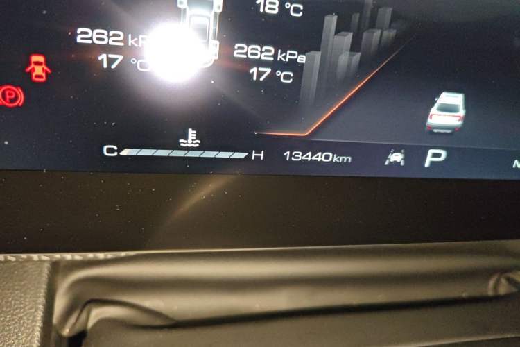 Used Haval DARGO 2024 1.5T DCT Border Collie Edition Odometer Close Up