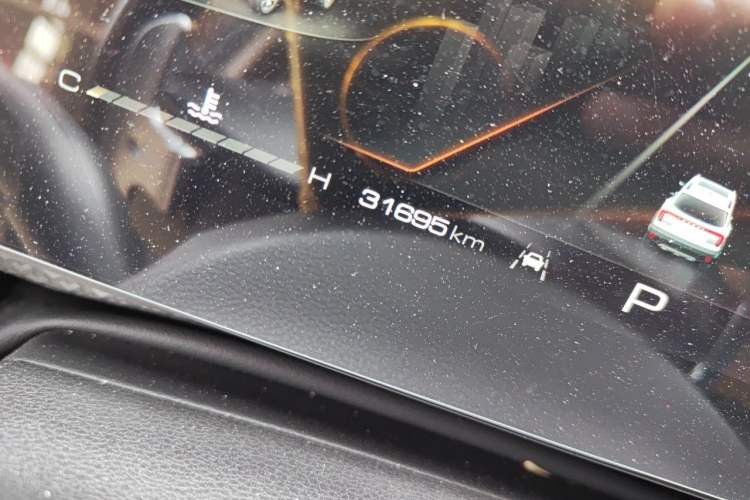 Used Haval DARGO 2024 1.5T DCT Border Collie Edition Odometer Close Up