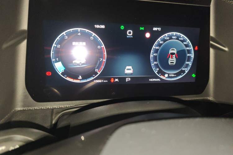 Used Haval DARGO 2024 1.5T DCT Border Collie Edition Odometer Close Up