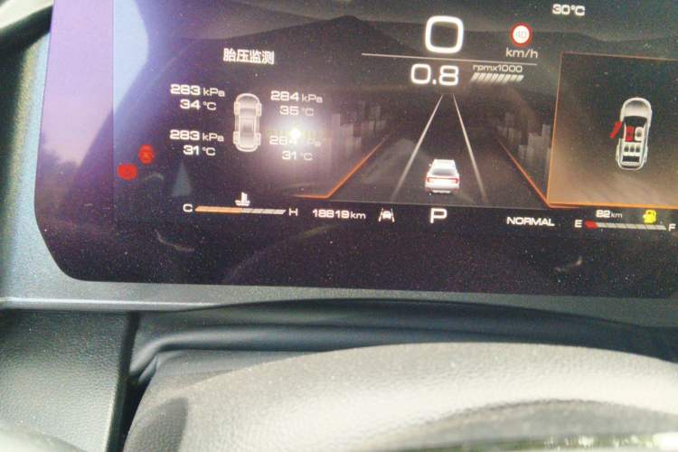 Used Haval DARGO 2024 2.0T DCT Chinese Rural Dog Edition Odometer Close Up
