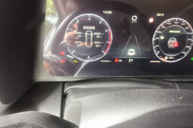 Used Haval DARGO 2024 1.5T DCT Border Collie Edition Odometer Close Up