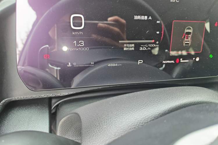 Used Haval DARGO 2024 1.5T DCT Border Collie Edition Odometer Close Up