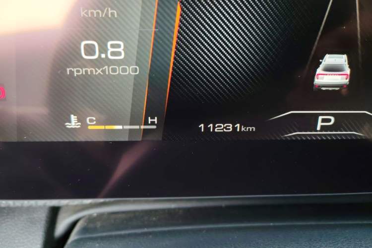 Used Haval DARGO 2024 1.5T DCT Border Collie Edition Odometer Close Up