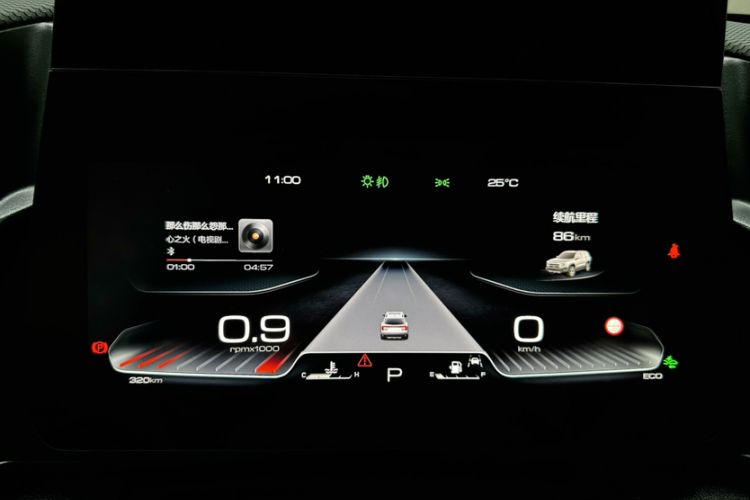 Used Haval DARGO 2024 2.0T DCT Chinese Rural Dog Edition Odometer Close Up