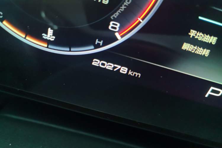 Used Haval DARGO 2024 1.5T DCT Border Collie Edition Odometer Close Up
