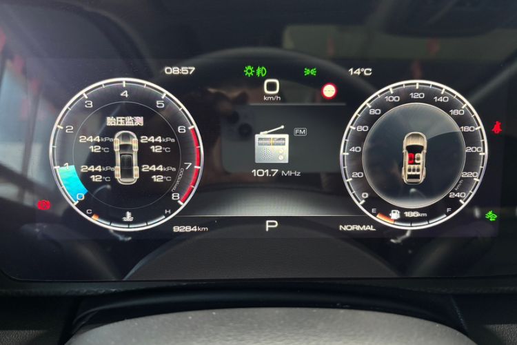 Used Haval DARGO 2024 1.5T DCT Border Collie Edition Odometer Close Up