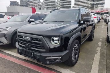 Used Haval DARGO 2024 2.0T DCT Chinese Rural Dog Edition