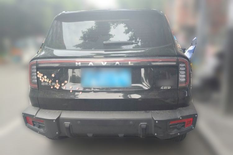 Used Haval DARGO 2024 2.0T DCT Chinese Rural Dog Edition Rear