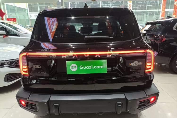 Used Haval DARGO 2024 2.0T DCT Chinese Rural Dog Edition Rear