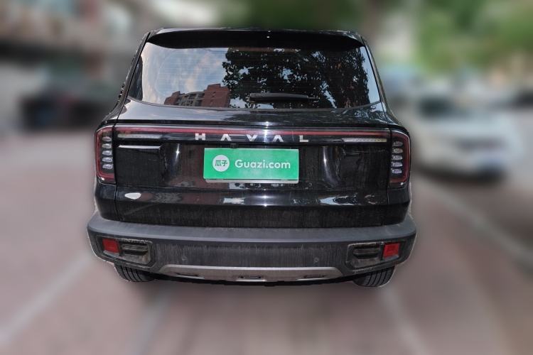 Used Haval DARGO 2024 2.0T DCT Chinese Rural Dog Edition Rear
