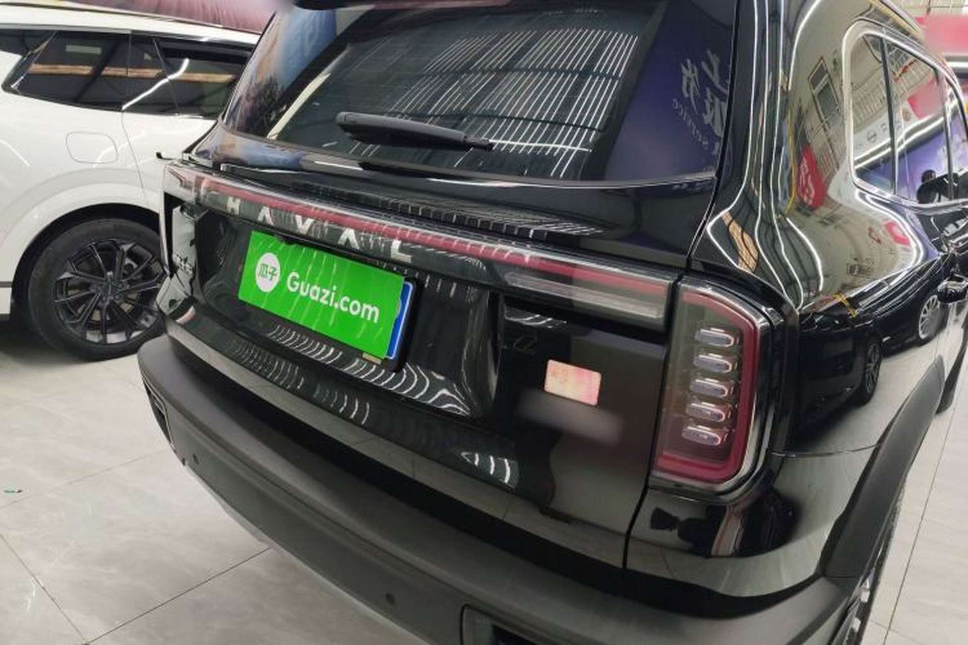 Used Haval DARGO 2024 1.5T DCT Border Collie Edition Rear