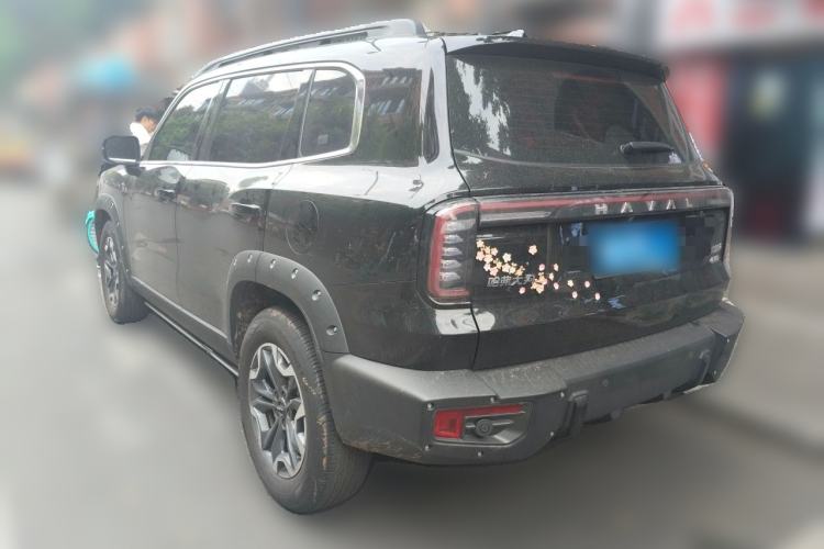 Used Haval DARGO 2024 2.0T DCT Chinese Rural Dog Edition Rear Left 45 Deg