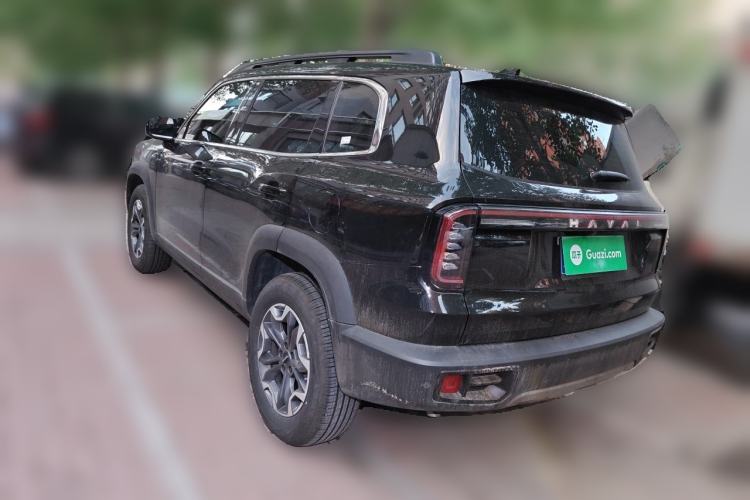 Used Haval DARGO 2024 2.0T DCT Chinese Rural Dog Edition Rear Left 45 Deg