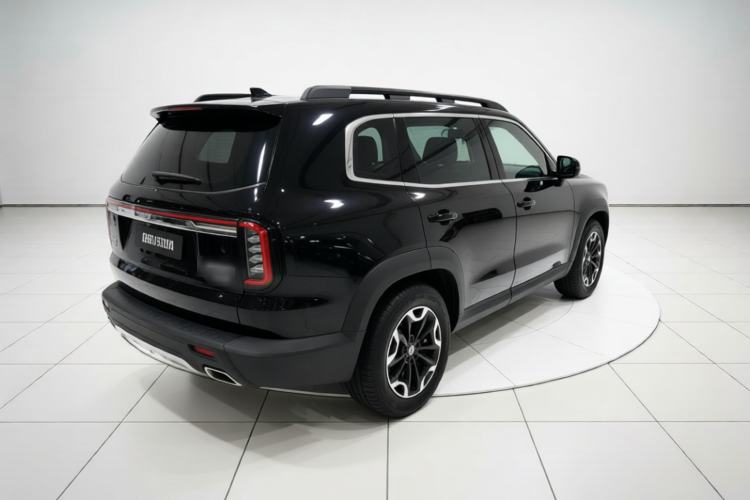 Used Haval DARGO 2024 2.0T DCT Chinese Rural Dog Edition Rear Right 45 Deg