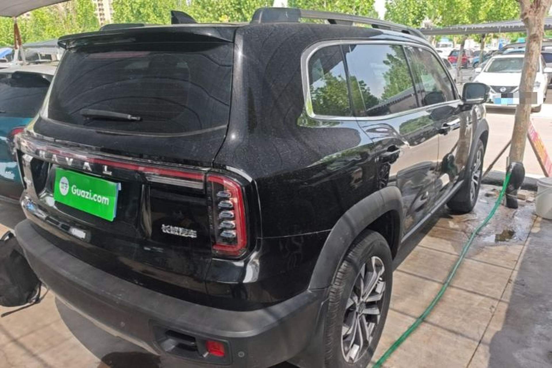 Used Haval DARGO 2024 1.5T DCT Border Collie Edition Rear Right 45 Deg