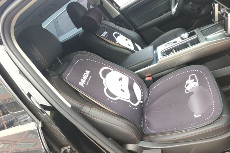 Used Haval DARGO 2024 1.5T DCT Border Collie Edition Right Front Seat