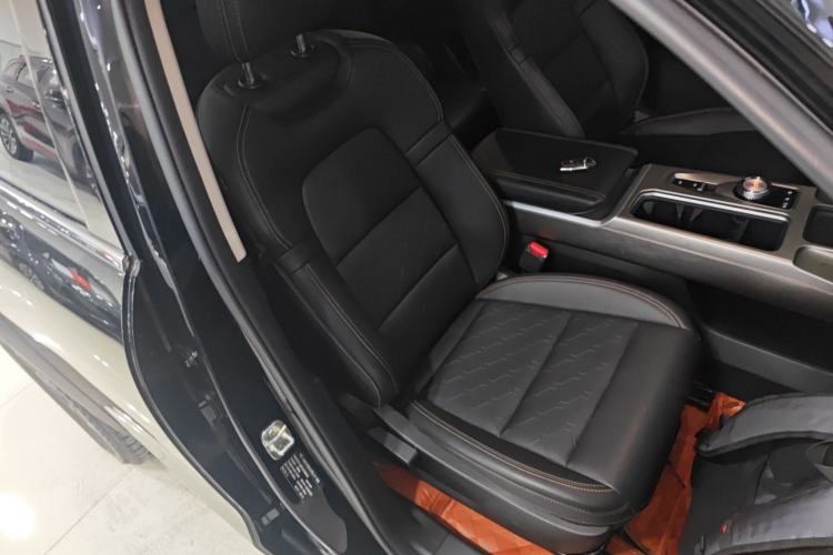Used Haval DARGO 2024 2.0T DCT Chinese Rural Dog Edition Right Front Seat