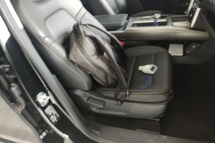 Used Haval DARGO 2024 2.0T DCT Chinese Rural Dog Edition Right Front Seat