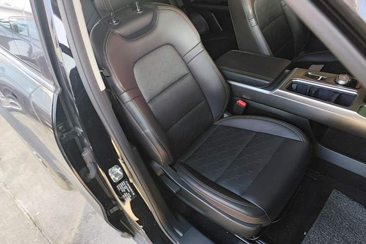 Used Haval DARGO 2024 1.5T DCT Border Collie Edition Right Front Seat