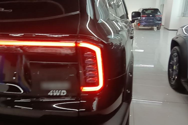 Used Haval DARGO 2024 2.0T DCT Chinese Rural Dog Edition Right Rear Taillight