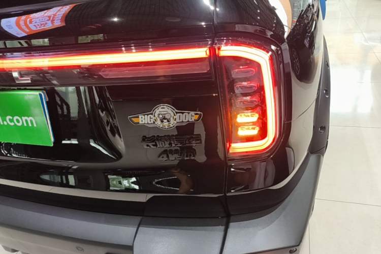 Used Haval DARGO 2024 2.0T DCT Chinese Rural Dog Edition Right Rear Taillight