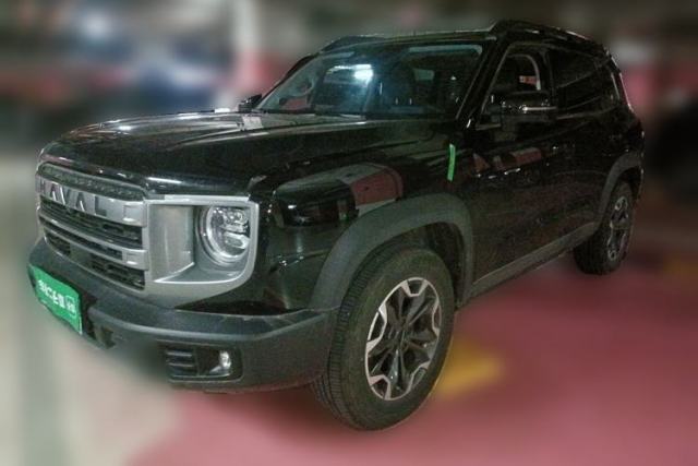 Used Haval DARGO 2024 2.0T DCT Chinese Rural Dog Edition