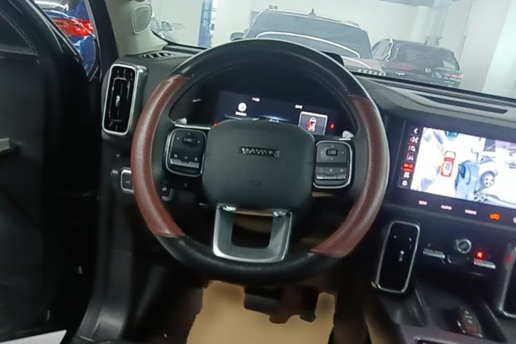 Used Haval DARGO 2024 2.0T DCT Chinese Rural Dog Edition Steering Wheel