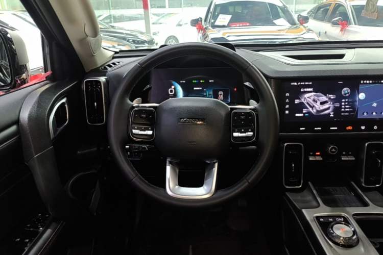 Used Haval DARGO 2024 2.0T DCT Chinese Rural Dog Edition Steering Wheel