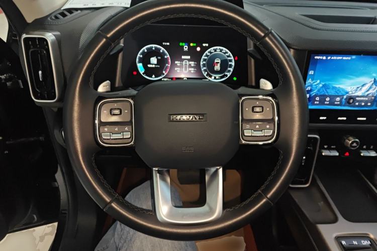 Used Haval DARGO 2024 2.0T DCT Chinese Rural Dog Edition Steering Wheel