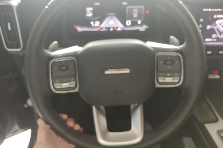 Used Haval DARGO 2024 2.0T DCT Chinese Rural Dog Edition Steering Wheel