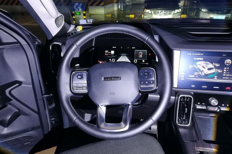 Used Haval DARGO 2024 2.0T DCT Chinese Rural Dog Edition Steering Wheel