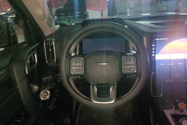 Used Haval DARGO 2024 2.0T DCT Chinese Rural Dog Edition Steering Wheel
