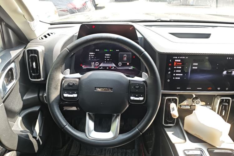 Used Haval DARGO 2024 2.0T DCT Chinese Rural Dog Edition Steering Wheel