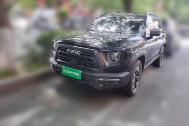 Used Haval DARGO 2024 2.0T DCT Chinese Rural Dog Edition