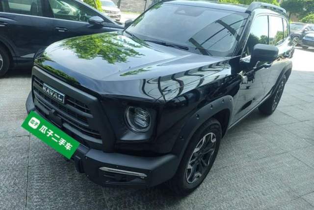 Used Haval DARGO 2024 2.0T DCT Chinese Rural Dog Edition