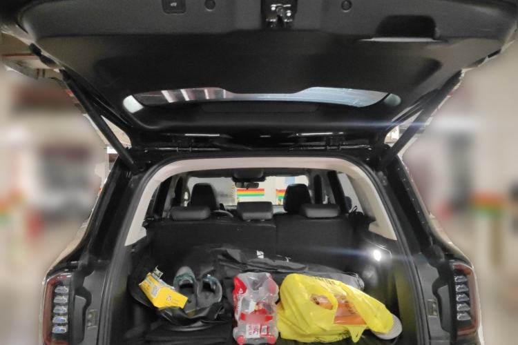 Used Haval DARGO 2024 2.0T DCT Chinese Rural Dog Edition Trunk