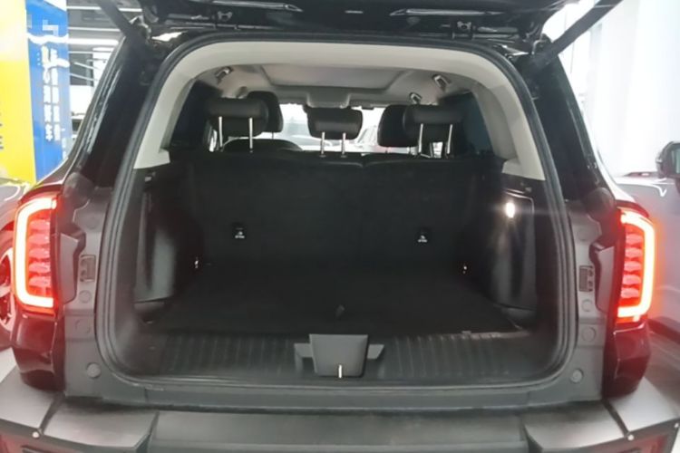 Used Haval DARGO 2024 2.0T DCT Chinese Rural Dog Edition Trunk