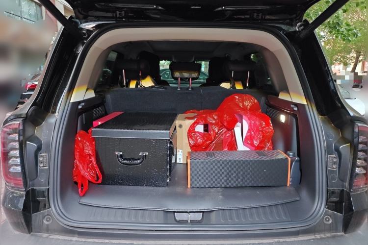 Used Haval DARGO 2024 2.0T DCT Chinese Rural Dog Edition Trunk