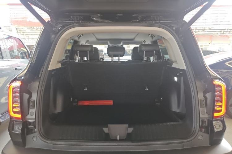 Used Haval DARGO 2024 2.0T DCT Chinese Rural Dog Edition Trunk