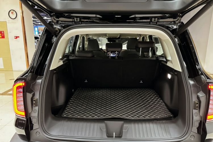 Used Haval DARGO 2024 2.0T DCT Chinese Rural Dog Edition Trunk