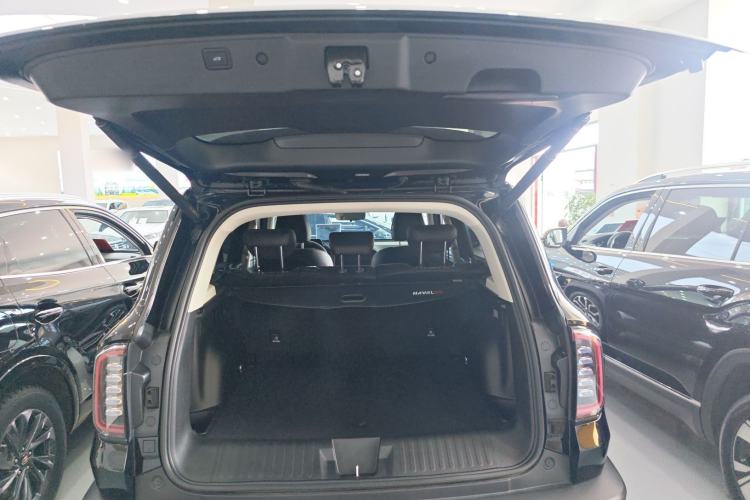 Used Haval DARGO 2024 1.5T DCT Border Collie Edition Trunk