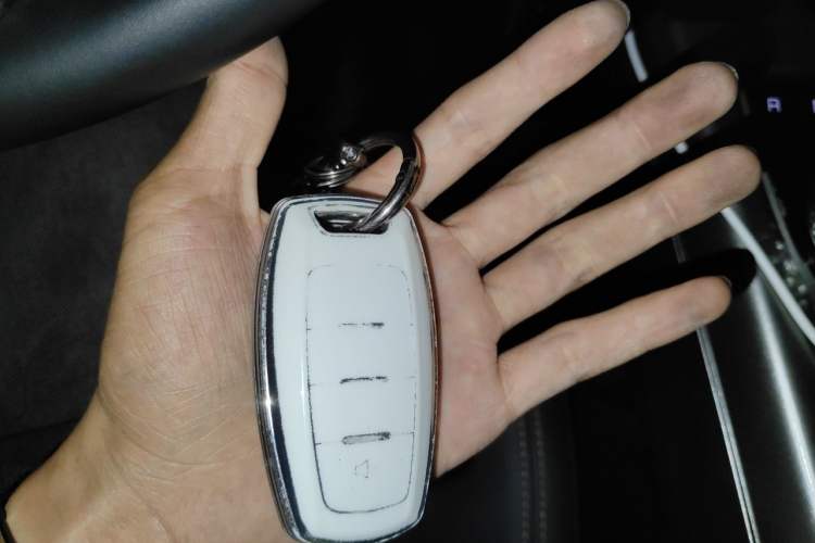 Used Haval DARGO 2024 2.0T DCT Chinese Rural Dog Edition Vehicle Key