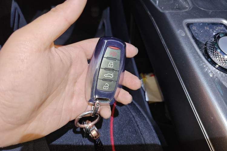 Used Haval DARGO 2024 2.0T DCT Chinese Rural Dog Edition Vehicle Key