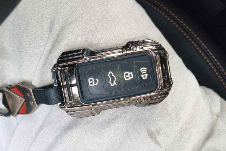 Used Haval DARGO 2024 2.0T DCT Chinese Rural Dog Edition Vehicle Key