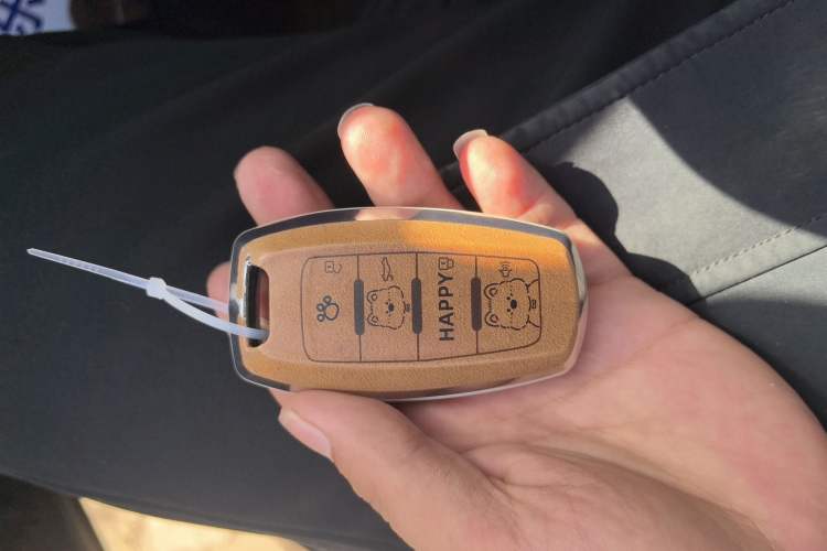 Used Haval DARGO 2024 1.5T DCT Border Collie Edition Vehicle Key
