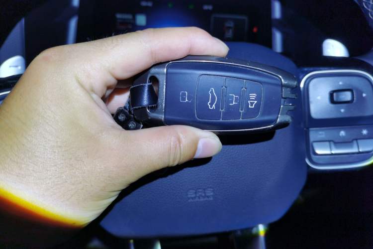 Used Haval DARGO 2024 2.0T DCT Chinese Rural Dog Edition Vehicle Key