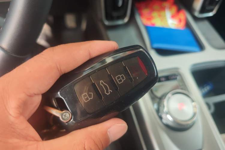 Used Haval DARGO 2024 2.0T DCT Chinese Rural Dog Edition Vehicle Key
