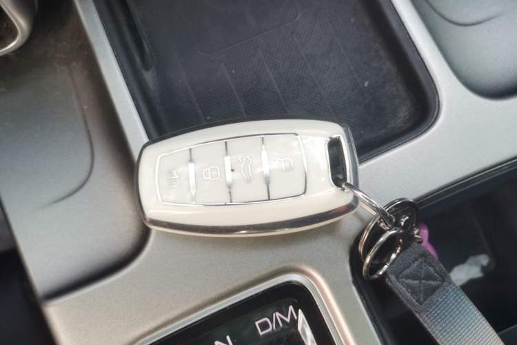 Used Haval DARGO 2024 2.0T DCT Chinese Rural Dog Edition Vehicle Key