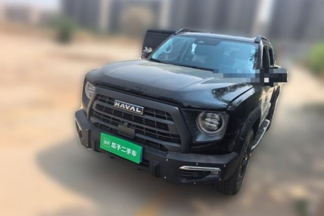 Used Haval DARGO 2024 2.0T DCT Chinese Rural Dog Edition
